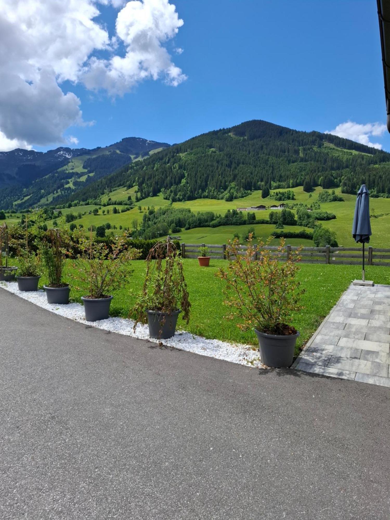 Sonnenheim *