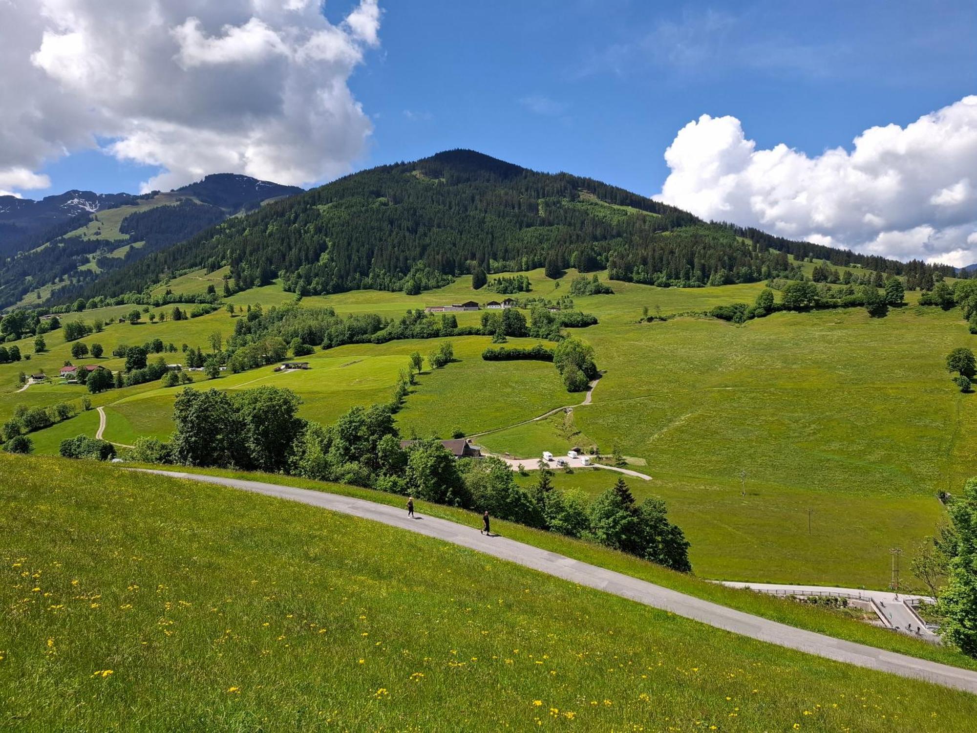 Sonnenheim *